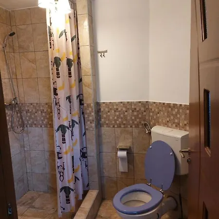 Vila Karina Homestay *