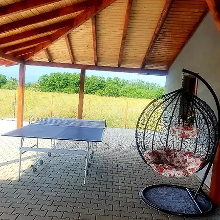 Vila Karina Homestay *