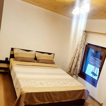 Homestay Vila Karina *